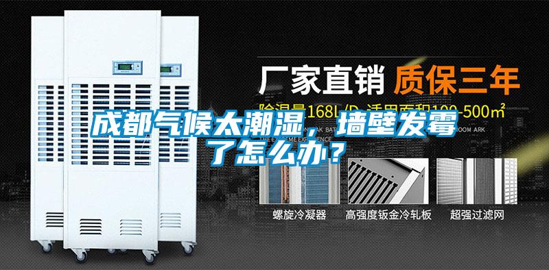 成都气候太潮湿，墙壁发霉了怎么办？