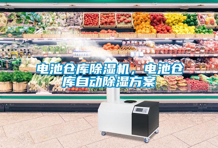 电池仓库草莓视频黄色在线观看机，电池仓库自动草莓视频黄色在线观看草莓视频成人污版APP