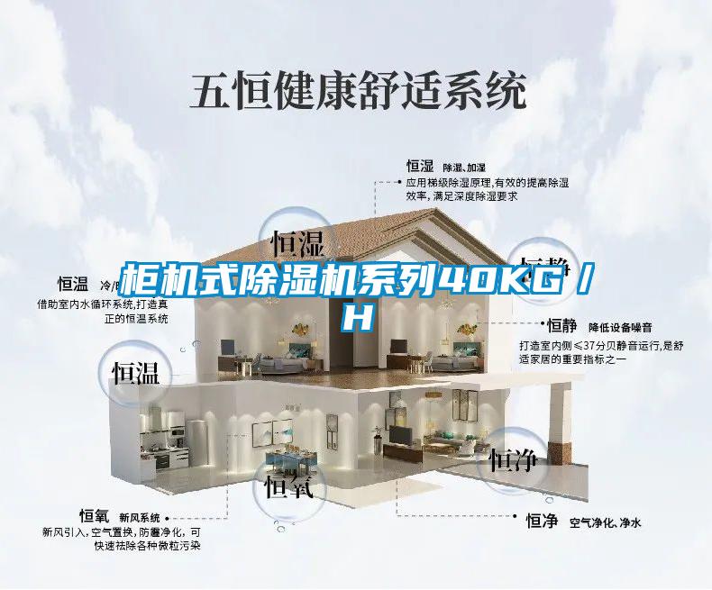 柜机式草莓视频黄色在线观看机系列40KG／H