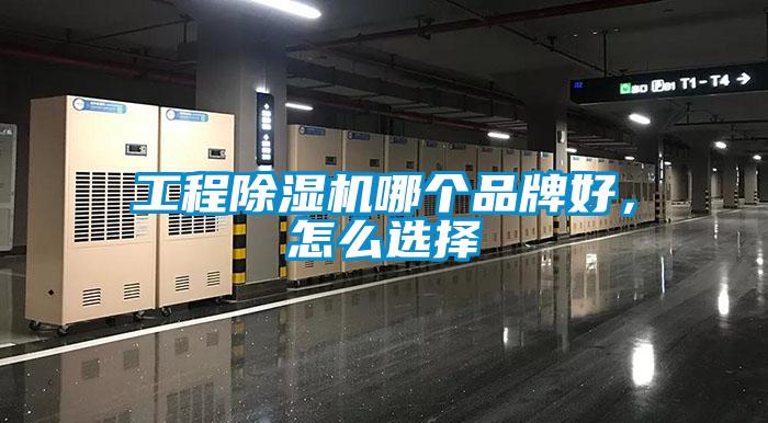 工程草莓视频黄色在线观看机哪个品牌好，怎么选择