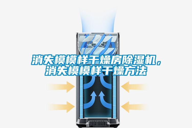 消失模模样干燥房草莓视频黄色在线观看机，消失模模样干燥方法