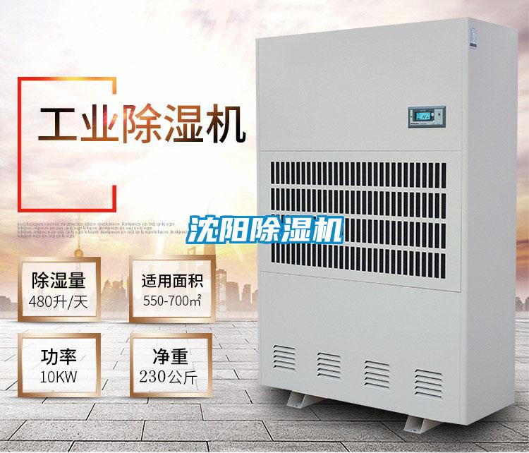沈阳草莓视频黄色在线观看机