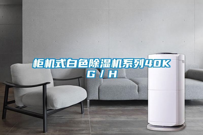 柜机式白色草莓视频黄色在线观看机系列40KG／H