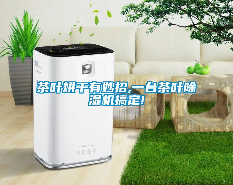 茶叶烘干有妙招,一台茶叶草莓视频黄色在线观看机搞定!