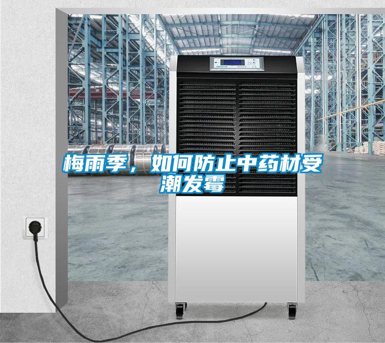 梅雨季，如何防止中药材受潮发霉
