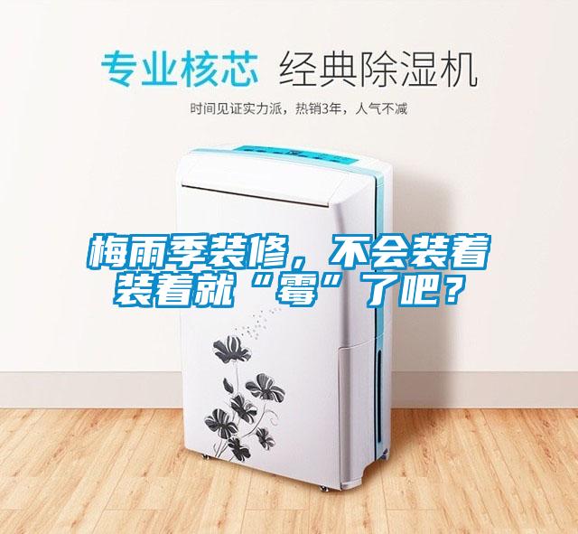 梅雨季装修，不会装着装着就“霉”了吧？