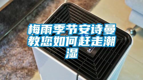 梅雨季节草莓视频下载安装教您如何赶走潮湿