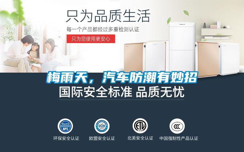 梅雨天，汽车防潮有妙招