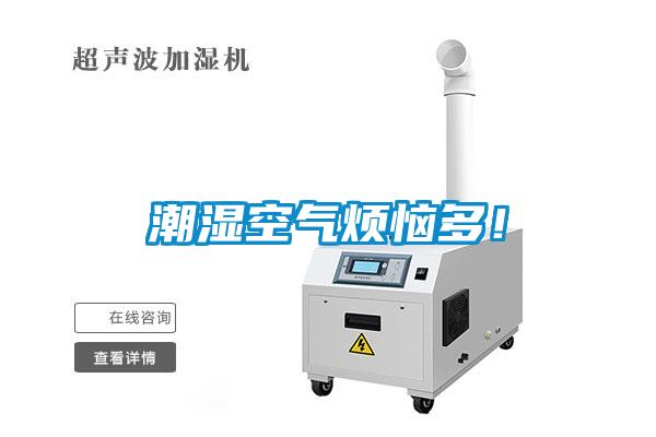 潮湿空气烦恼多！