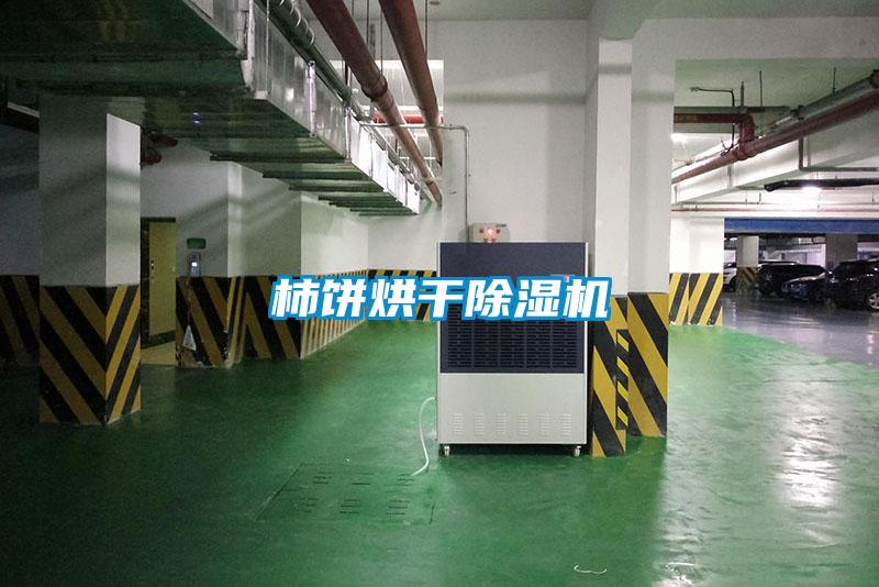 柿饼烘干草莓视频黄色在线观看机