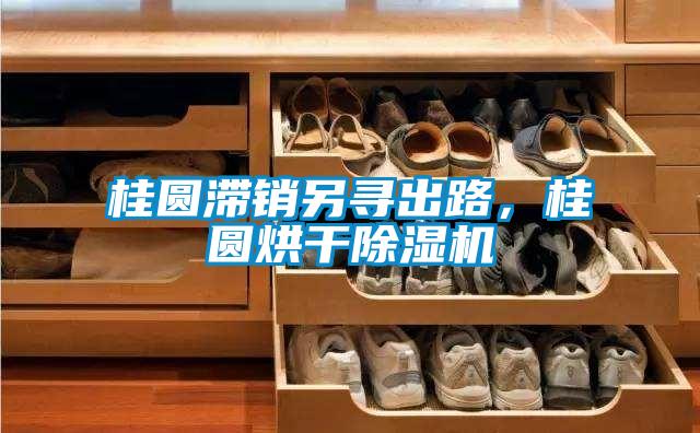 桂圆滞销另寻出路，桂圆烘干草莓视频黄色在线观看机