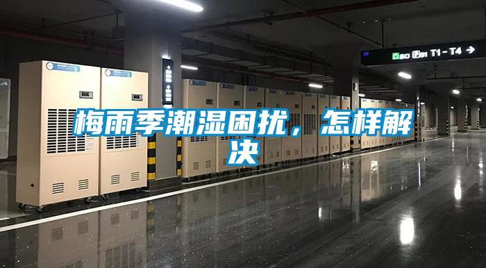 梅雨季潮湿困扰，怎样解决