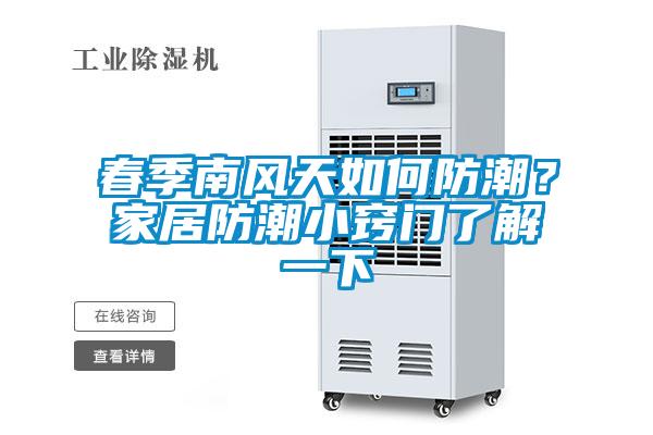 春季南风天如何防潮？家居防潮小窍门了解一下