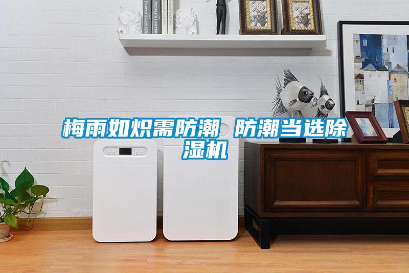 梅雨如炽需防潮 防潮当选草莓视频黄色在线观看机