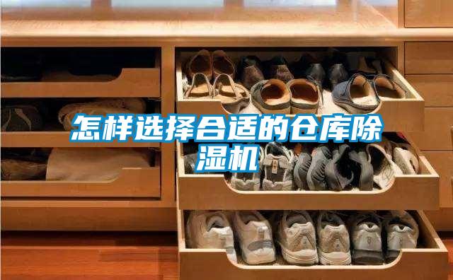 怎样选择合适的仓库草莓视频黄色在线观看机