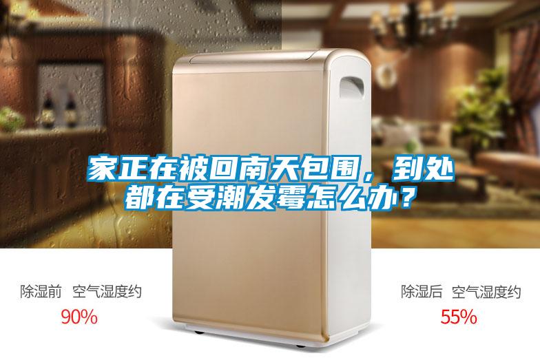 家正在被回南天包围，到处都在受潮发霉怎么办？