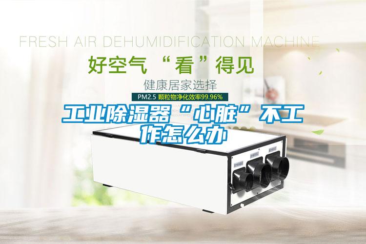 工业草莓视频黄色在线观看器“心脏”不工作怎么办