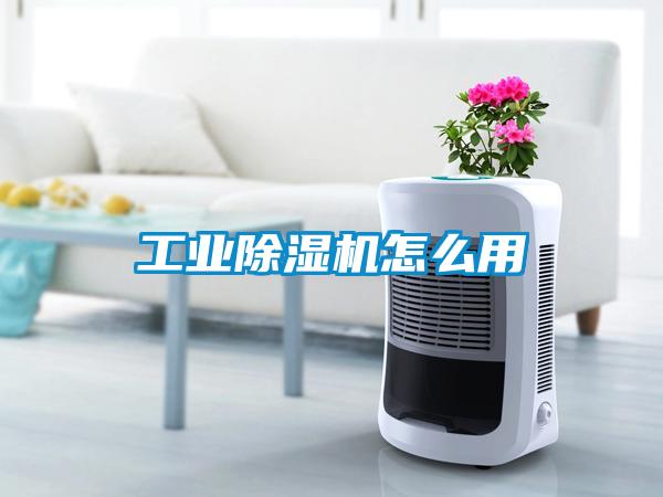 工业草莓视频黄色在线观看机怎么用