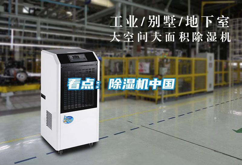 看点：草莓视频黄色在线观看机中国
