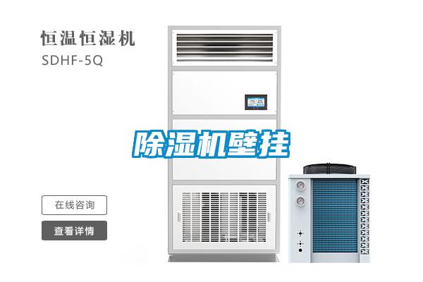 草莓视频黄色在线观看机壁挂