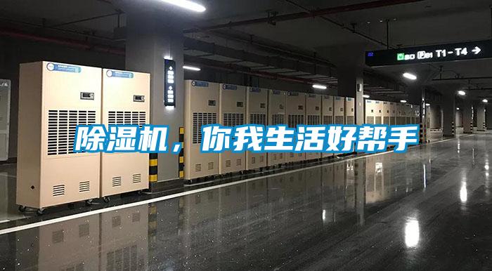 草莓视频黄色在线观看机，你我生活好帮手
