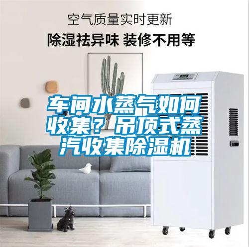车间水蒸气如何收集？吊顶式蒸汽收集草莓视频黄色在线观看机