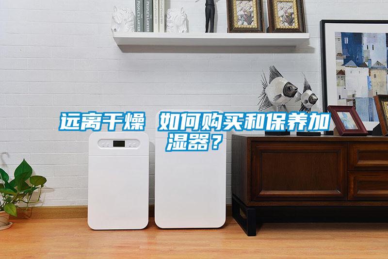远离干燥 如何购买和保养加湿器？