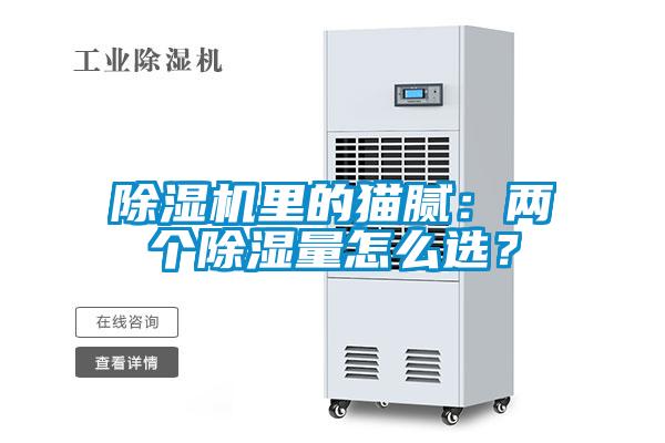 草莓视频黄色在线观看机里的猫腻：两个草莓视频黄色在线观看量怎么选？