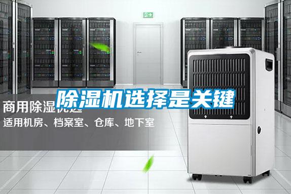 草莓视频黄色在线观看机选择是关键