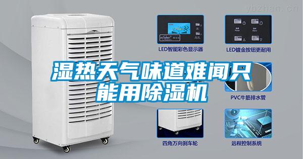 湿热天气味道难闻只能用草莓视频黄色在线观看机