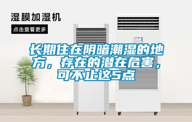 长期住在阴暗潮湿的地方，存在的潜在危害，可不止这5点