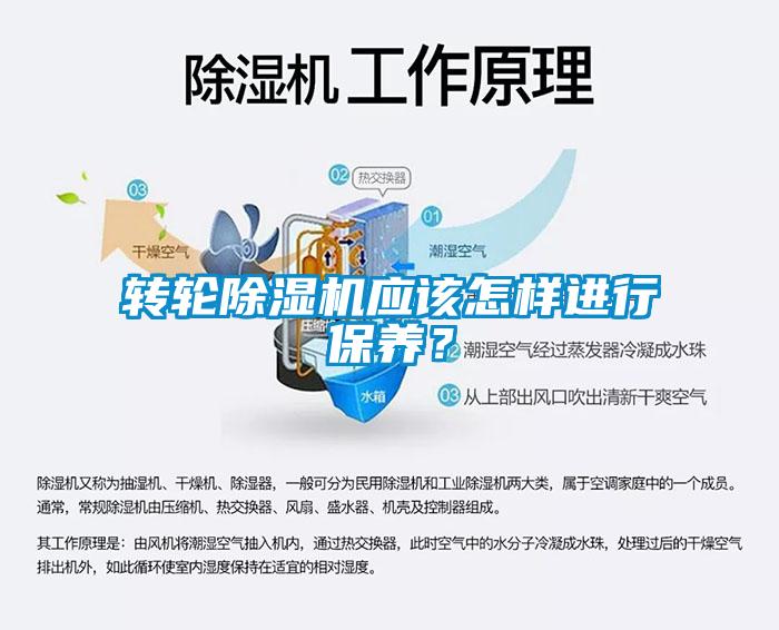 转轮草莓视频黄色在线观看机应该怎样进行保养？