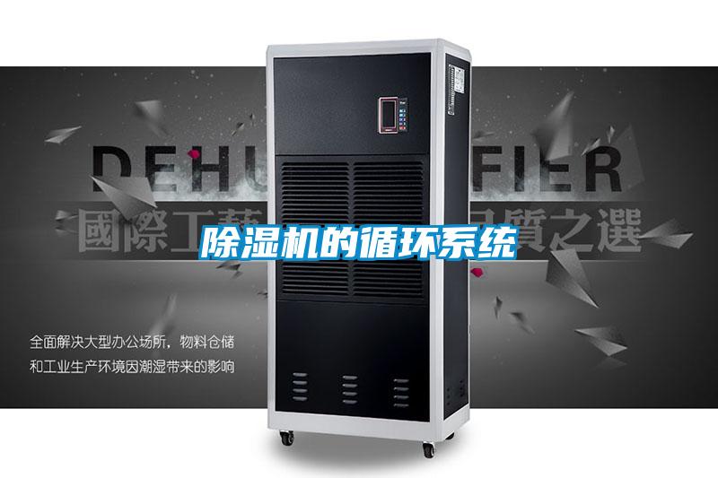 草莓视频黄色在线观看机的循环系统