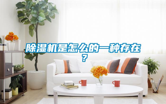 草莓视频黄色在线观看机是怎么的一种存在？