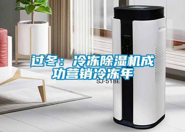 过冬：冷冻草莓视频黄色在线观看机成功营销冷冻年