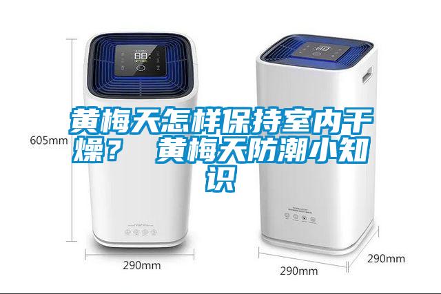 黄梅天怎样保持室内干燥？ 黄梅天防潮小知识