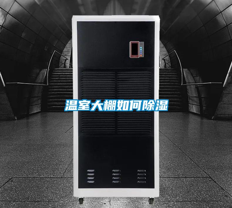 温室大棚如何草莓视频黄色在线观看