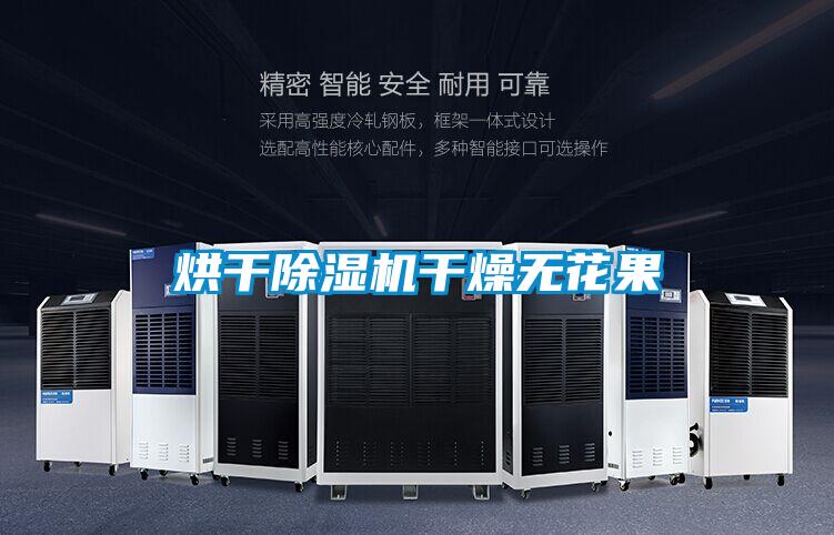 烘干草莓视频黄色在线观看机干燥无花果