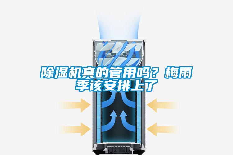 草莓视频黄色在线观看机真的管用吗？梅雨季该安排上了