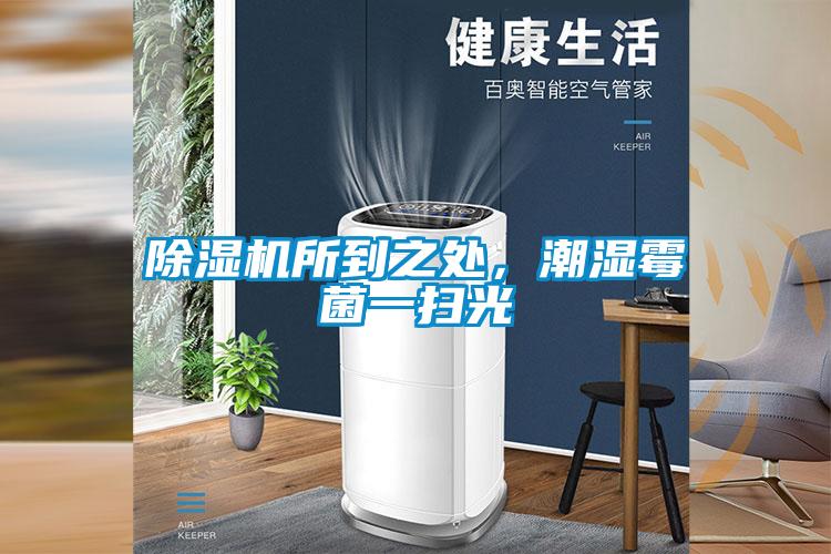 草莓视频黄色在线观看机所到之处，潮湿霉菌一扫光