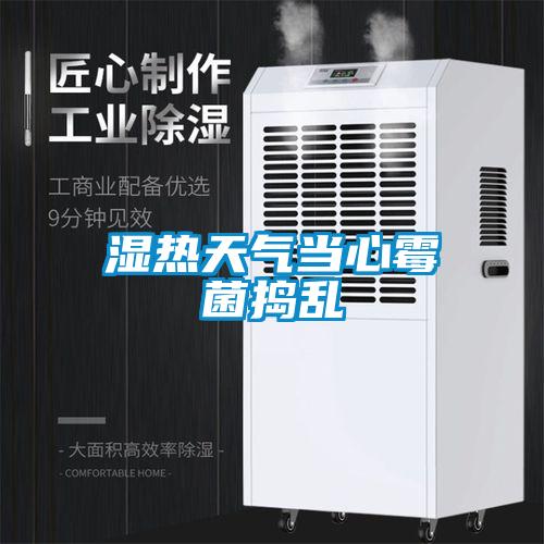 湿热天气当心霉菌捣乱