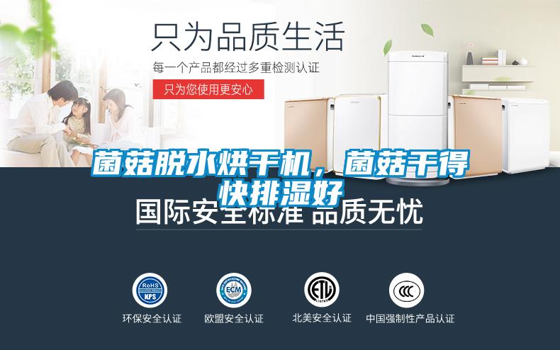 菌菇脱水烘干机，菌菇干得快排湿好