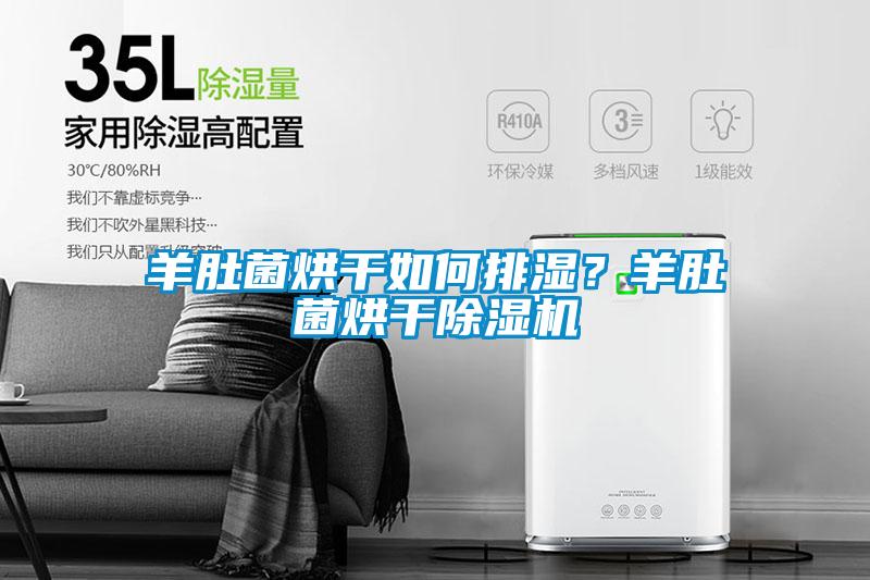 羊肚菌烘干如何排湿？羊肚菌烘干草莓视频黄色在线观看机