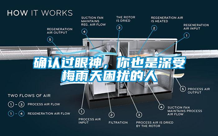 确认过眼神，你也是深受梅雨天困扰的人
