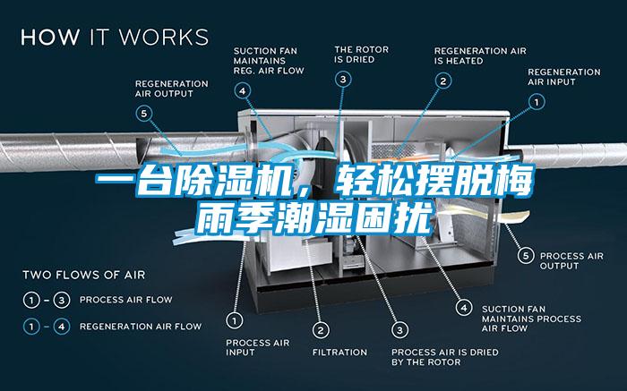 一台草莓视频黄色在线观看机，轻松摆脱梅雨季潮湿困扰
