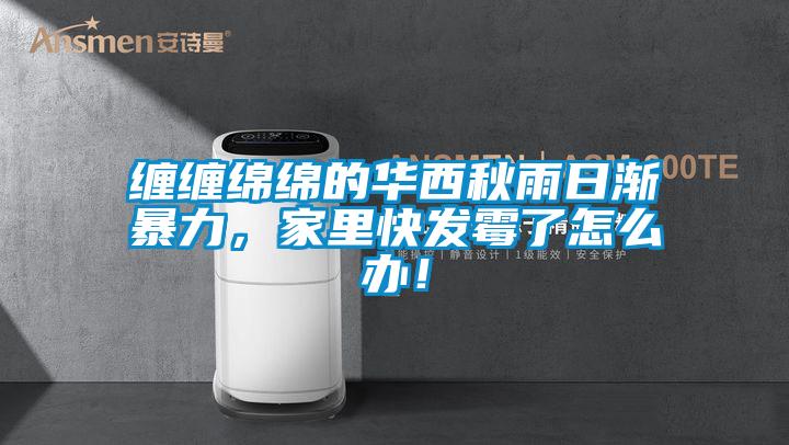 缠缠绵绵的华西秋雨日渐暴力，家里快发霉了怎么办！