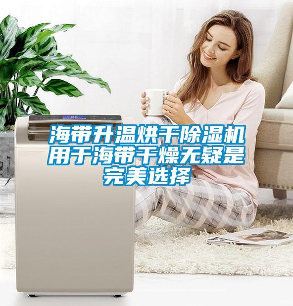 海带升温烘干草莓视频黄色在线观看机用于海带干燥无疑是完美选择