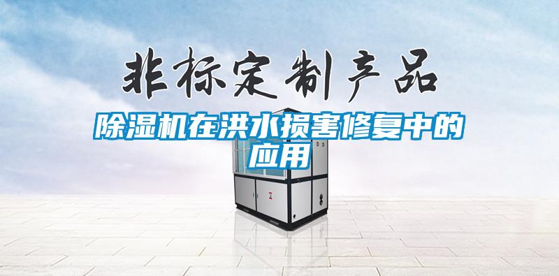草莓视频黄色在线观看机在洪水损害修复中的应用