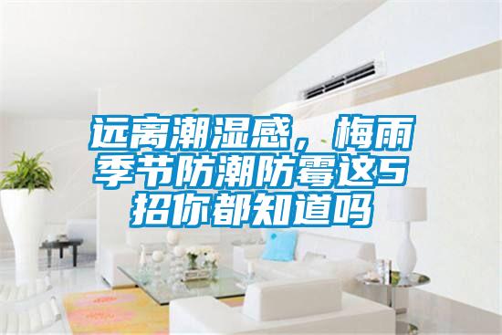 远离潮湿感，梅雨季节防潮防霉这5招你都知道吗