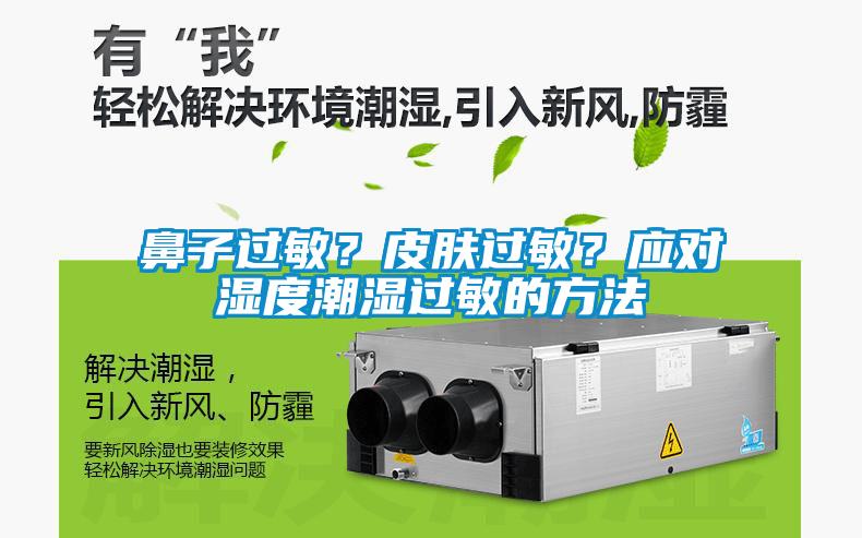 鼻子过敏？皮肤过敏？应对湿度潮湿过敏的方法